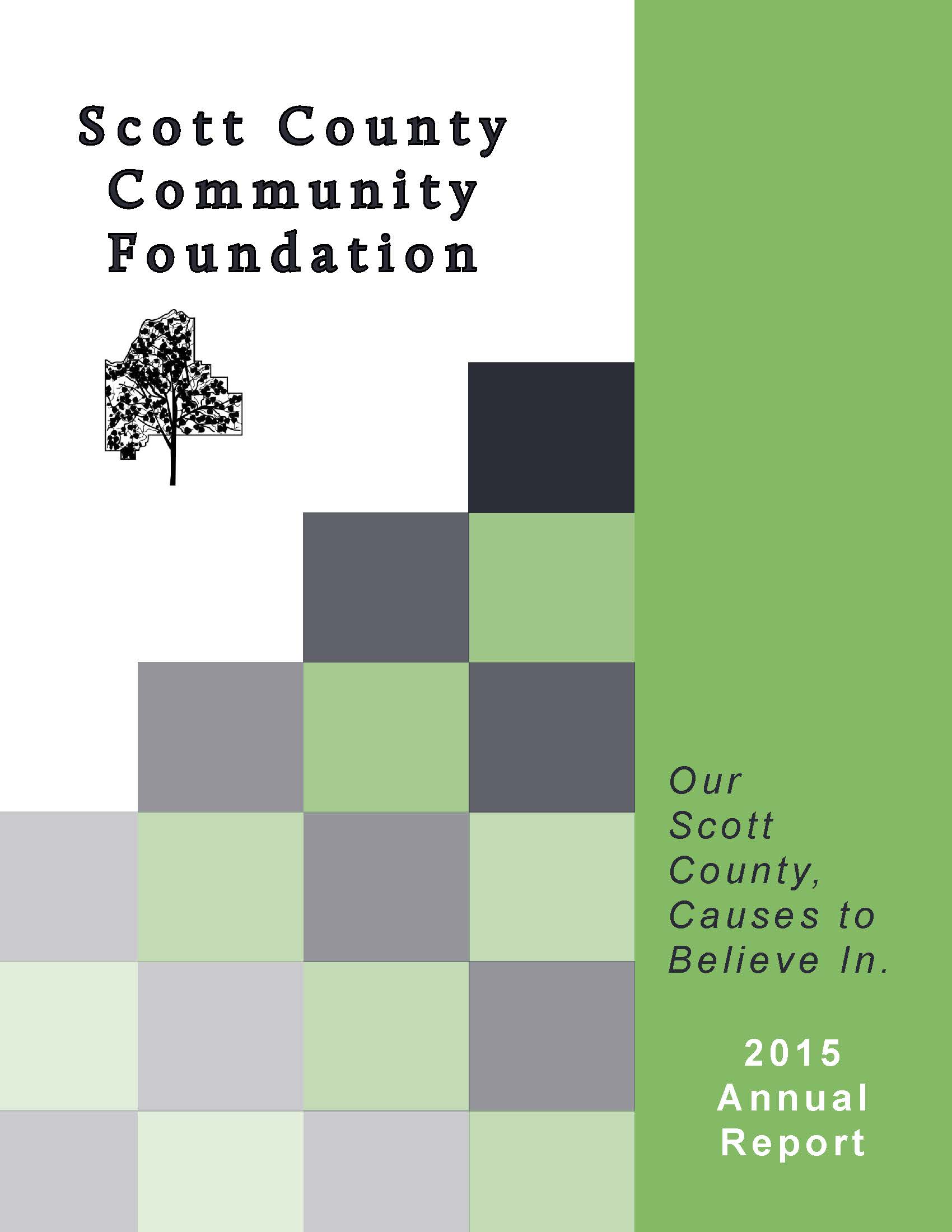 2015 Annual Report