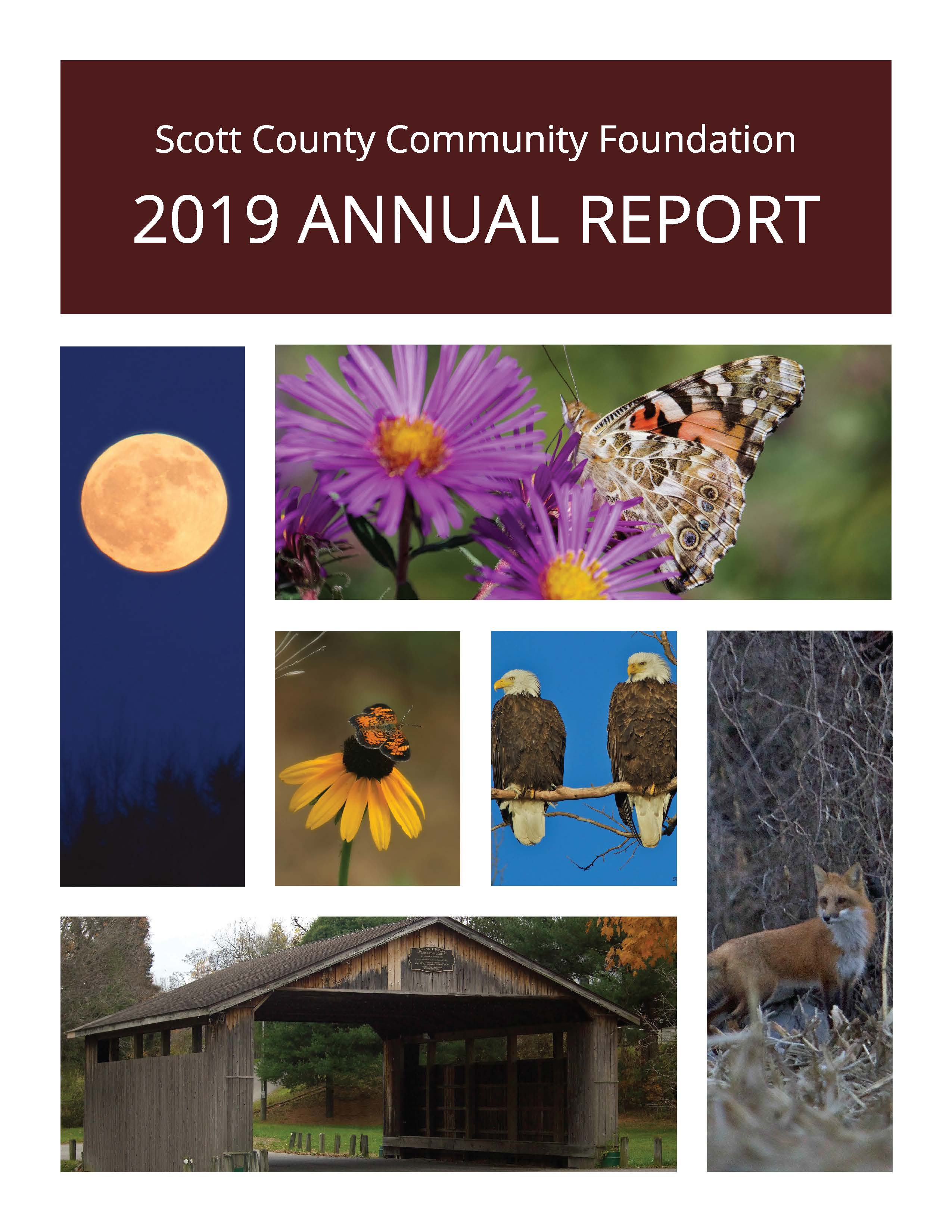 2019 Annual Report