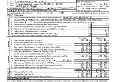 2016 IRS 990 Report